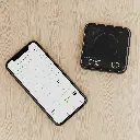 Themis Mini Scale