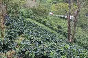 IMG_3057-X5.webp