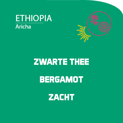 Ethiopia: Aricha