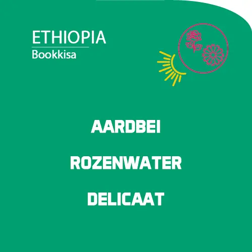Ethiopia: Bookkisa
