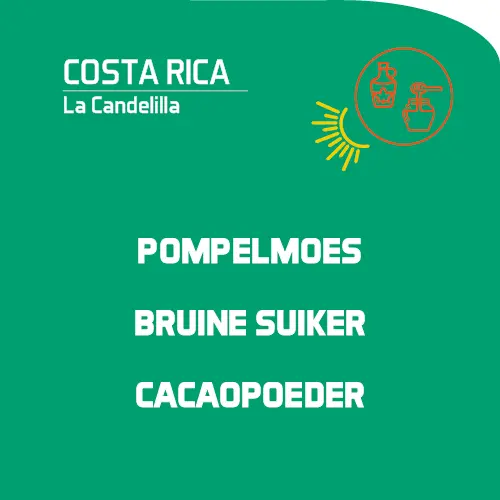 Costa Rica: La Candelilla