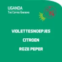 Uganda: The Coffee Gardens