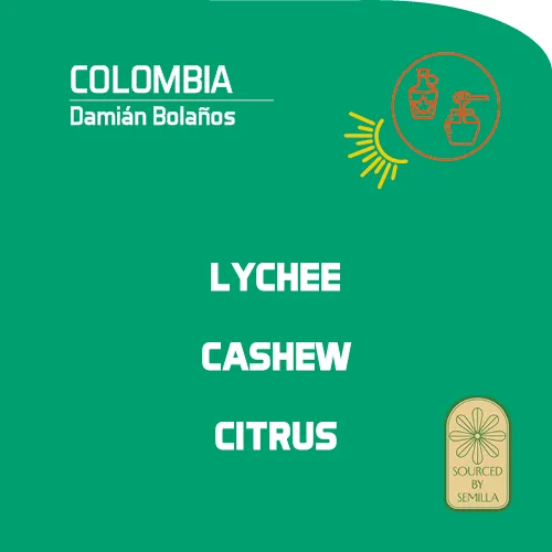 Colombia: Damian Bolaños