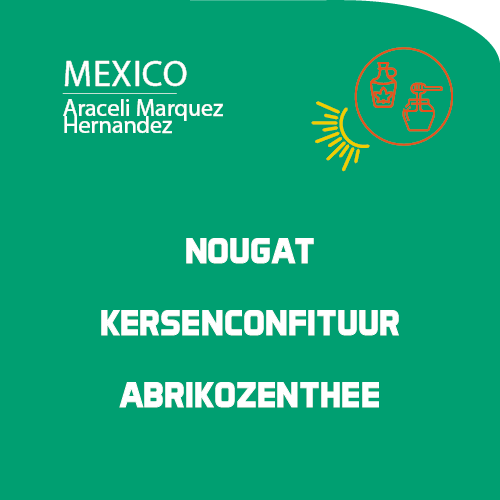 Mexico: Araceli M. H.