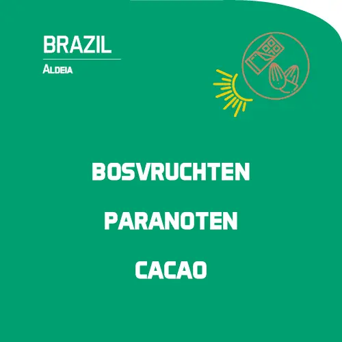 Brazil: Aldeia